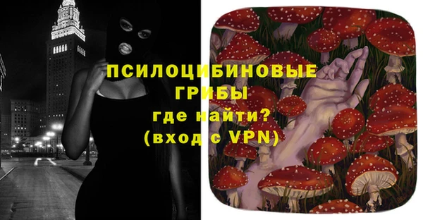 гашик Баксан