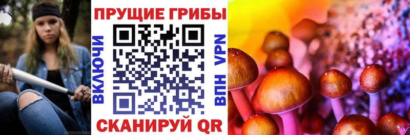 Галлюциногенные грибы Cubensis  Кирсанов 